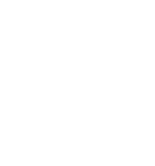 Terms and Conditions